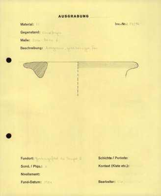 81