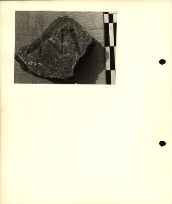 62