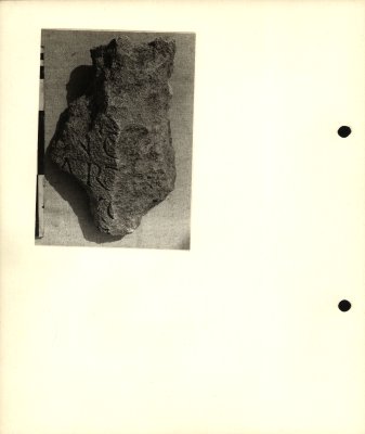 66