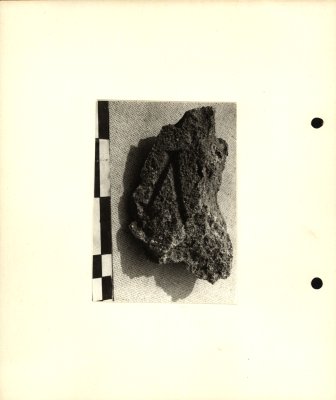 129