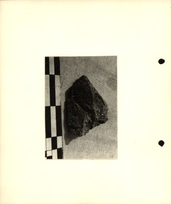 131