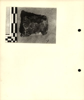 257