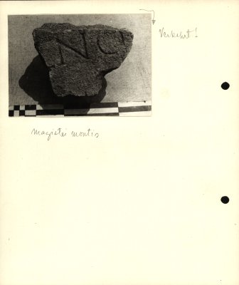 261