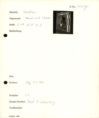 31