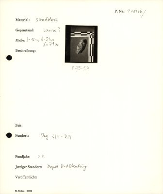 41