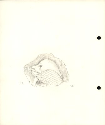 52