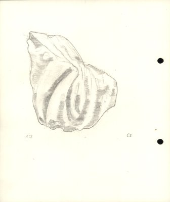 73