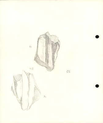 77