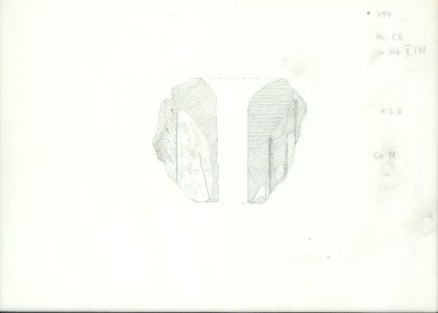 110