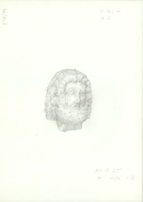 25