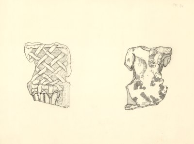 29