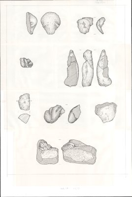 23